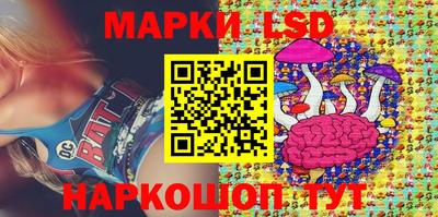 шишки Будённовск