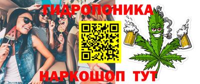 шишки Будённовск